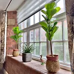 61 Cocoa Appartement York