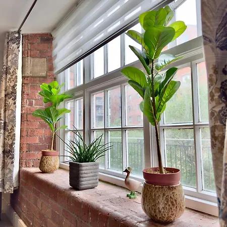 61 Cocoa Apartamento York